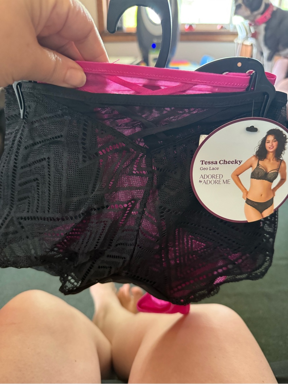Adore Me Black Lace Cheeky Panty with Hot Pink Lining